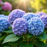 Guide pratique pour sélectionner et choyer votre hortensia au jardin